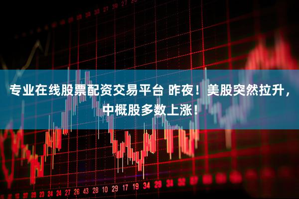 专业在线股票配资交易平台 昨夜！美股突然拉升，中概股多数上涨！